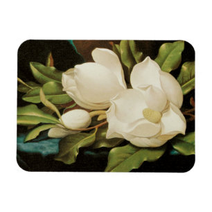 Giant Magnolias on a Blue Velvet Cloth by MJ Heade Magnet