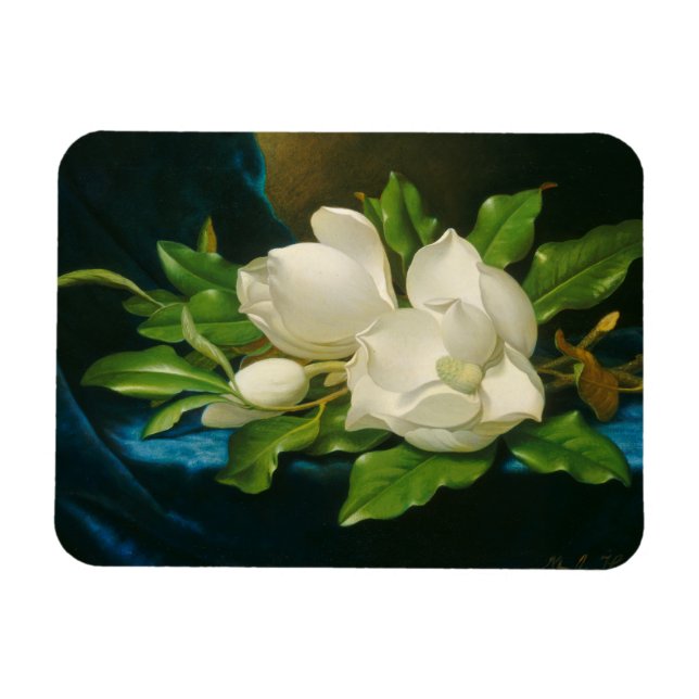 Giant Magnolias on a Blue Velvet Cloth, c.1890 (oi Magnet (Horizontal)