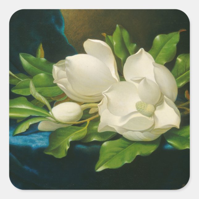Giant Magnolias on a Blue Velvet Cloth, c.1890 (oi Square Sticker (Front)