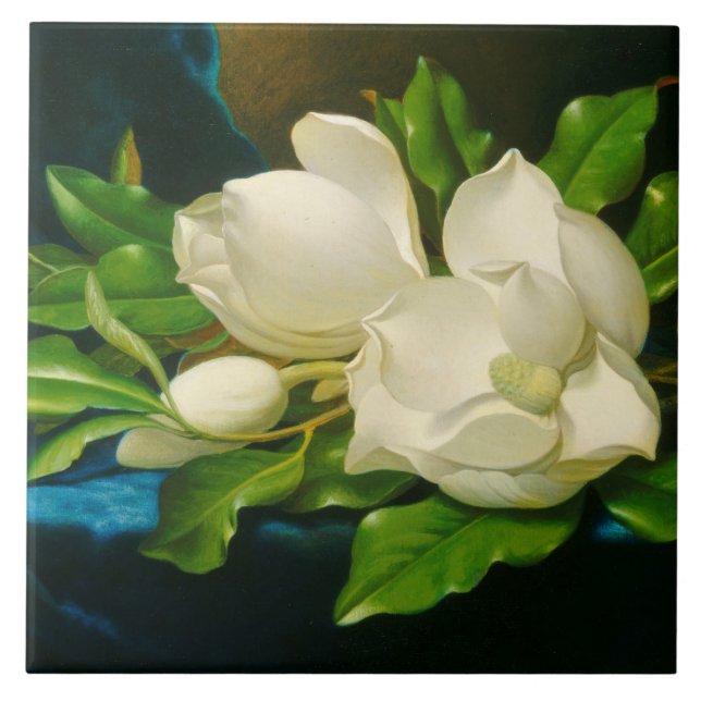 Giant Magnolias on a Blue Velvet Cloth (Heade) Tile (Front)