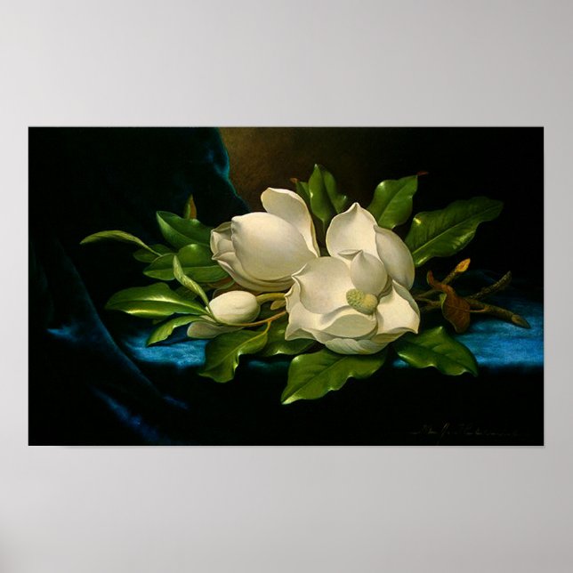 Giant Magnolias on a Blue Velvet Cloth Poster (Front)
