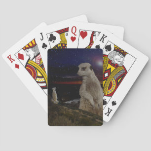 Giant Meerkat Watching Small Meerkat, Playing Cards