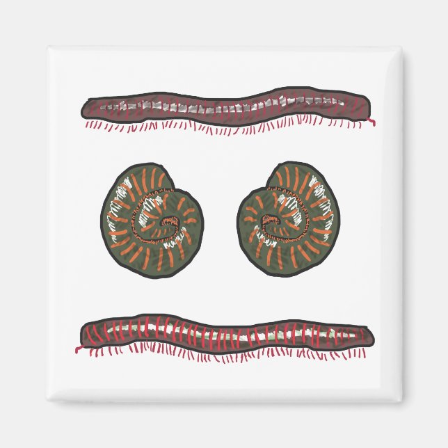 Giant Millipede Magnet (Front)