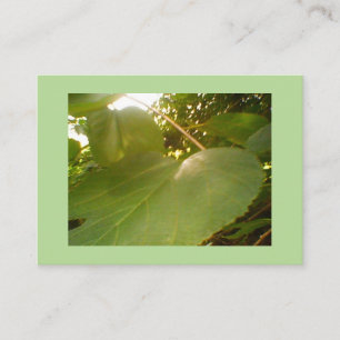 Giant Mulberry Leaf Business Card