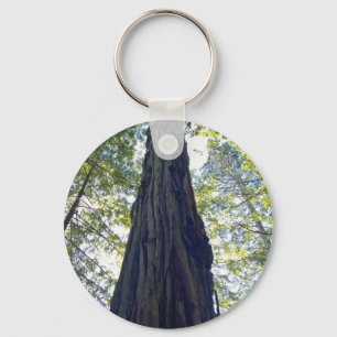 Giant Neverending Redwood Tree Key Ring
