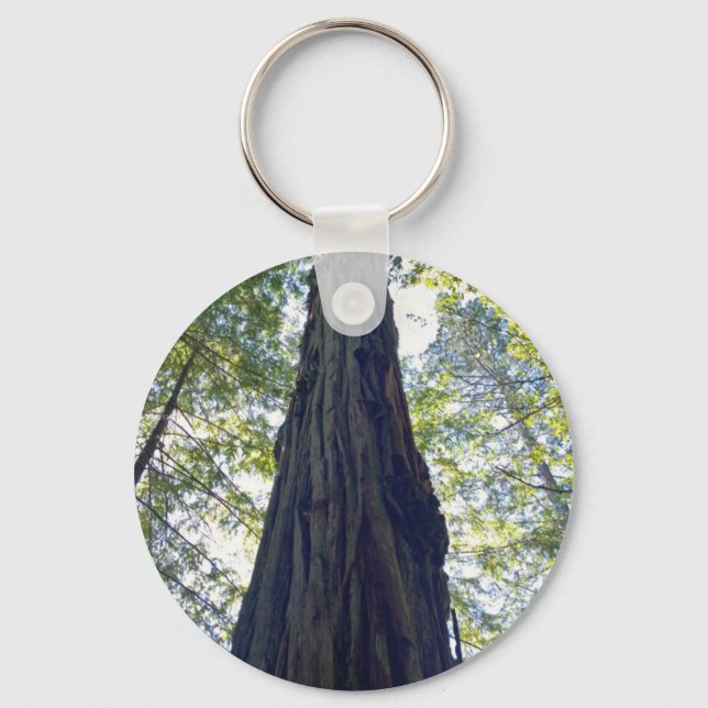 Giant Neverending Redwood Tree Key Ring (Front)