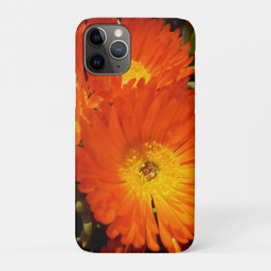 Giant Orange Daisies, Case-Mate iPhone Case