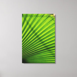 Giant Palm Leaf Pattern Canvas Print