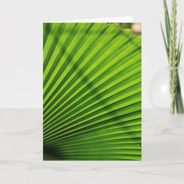 Giant Palm Leaf Pattern Card (Front)