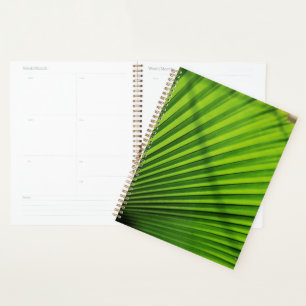 Giant Palm Leaf Pattern Planner