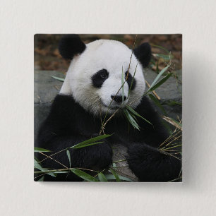 Giant panda 15 cm square badge