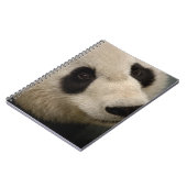 Giant panda (Ailuropoda melanoleuca) Family: 2 Notebook (Left Side)