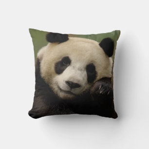 Giant panda Ailuropoda melanoleuca) Family Cushion