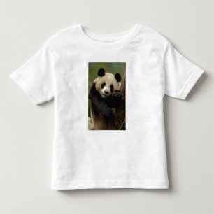 Giant panda Ailuropoda melanoleuca) Family Toddler T-Shirt