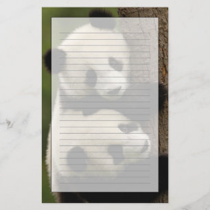 Giant panda babies (Ailuropoda melanoleuca) 2 Stationery