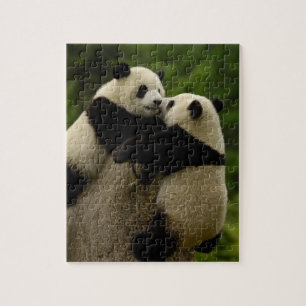 Giant panda babies (Ailuropoda melanoleuca) Jigsaw Puzzle