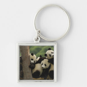 Giant panda babies Ailuropoda melanoleuca) Key Ring