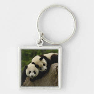 Giant panda babies Ailuropoda melanoleuca) Key Ring