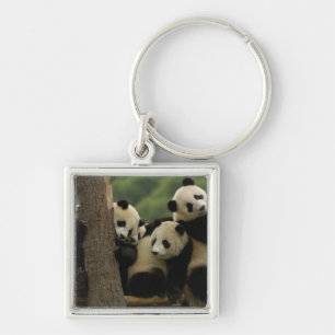 Giant panda babies Ailuropoda melanoleuca) Key Ring