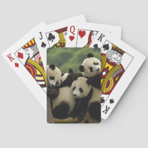 Giant panda babies Ailuropoda melanoleuca) Playing Cards