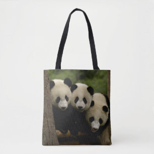 Giant panda babies Ailuropoda melanoleuca) Tote Bag