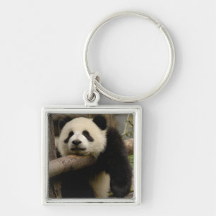 Giant panda baby Ailuropoda melanoleuca) Key Ring