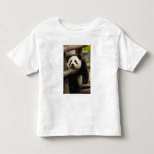 Giant panda baby Ailuropoda melanoleuca) Toddler T-Shirt