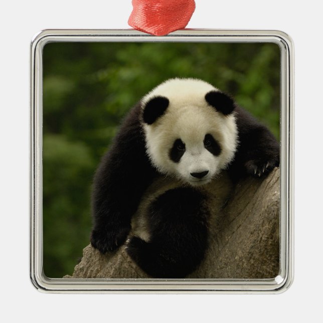 Giant panda baby metal tree decoration (Front)