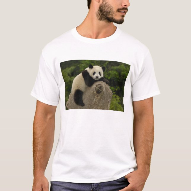 Giant panda baby T-Shirt (Front)