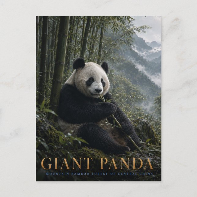 Giant Panda Bamboo Forest ANIMALS Postcard (Front)