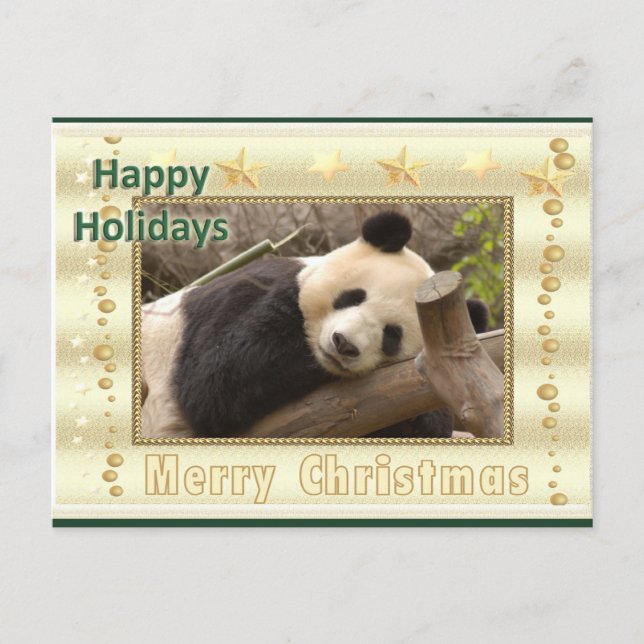 Giant Panda Bear & Baby Panda Christmas Card (Front)