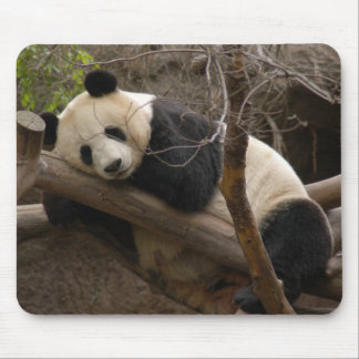 Giant Panda Bear & Baby Panda Mousepad
