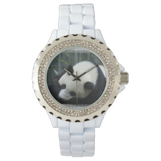 Giant Panda Bear Watch