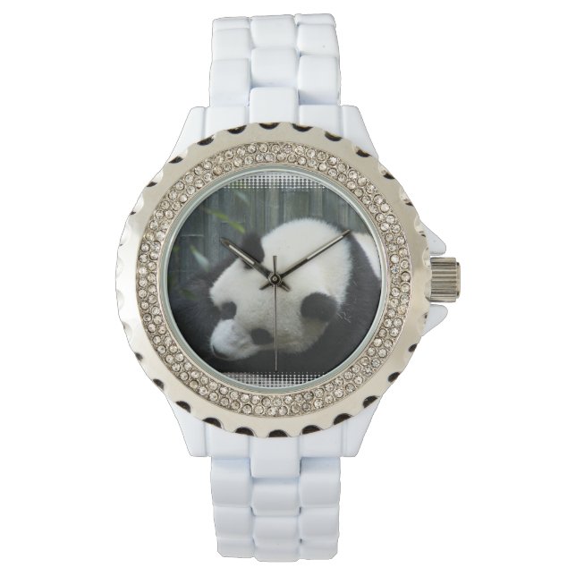 Giant Panda Bear Watch (Front)