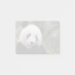 Giant Panda Bei Bei at the National Zoo Post-it Notes