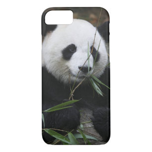 Giant panda Case-Mate iPhone case