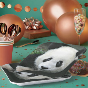Giant Panda Close‑Up in Green Grass Paper Plate