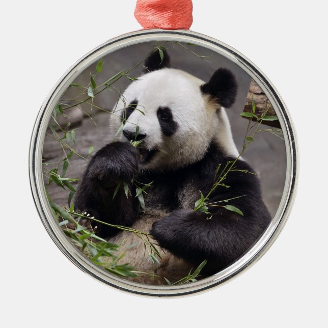 Giant panda eating bamboo metal tree decoration (Front)