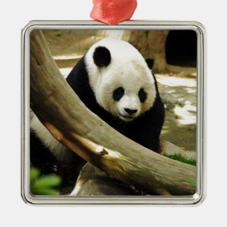 Giant Panda Gao Gao at the San Diego Zoo Metal Tree Decoration