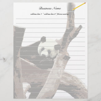 Giant panda in a wild animal zoo photography.
