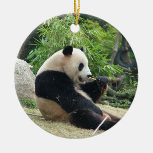 Giant panda in a wild animal zoo photography. ceramic tree decoration