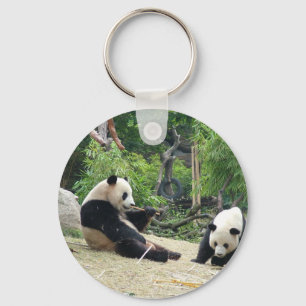 Giant panda in a wild animal zoo photography. key ring