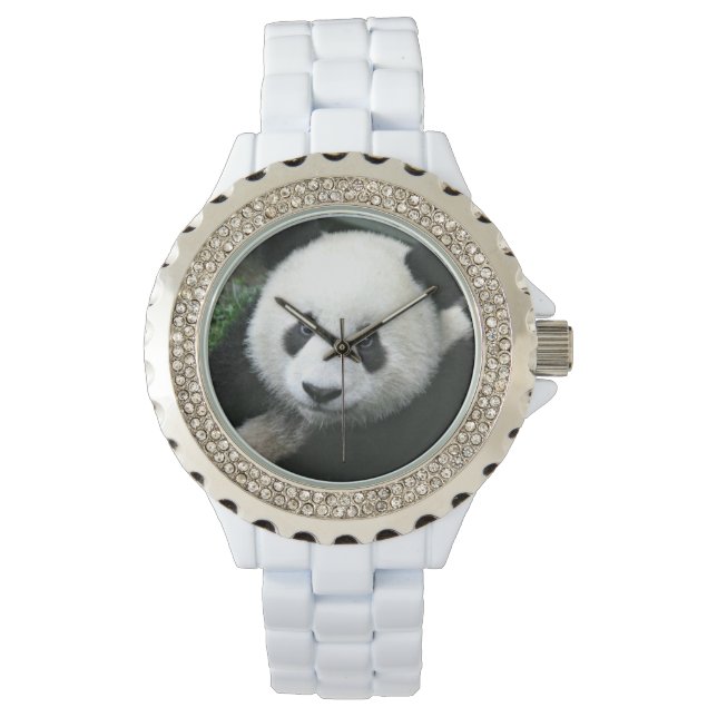 Giant Panda in Quiet Green Meadow Watch (Front)