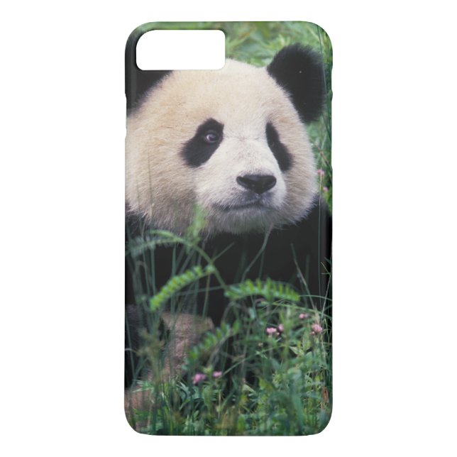 Giant panda in the grass, Wolong Valley, Sichuan Case-Mate iPhone Case (Back)
