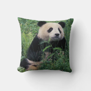 Giant panda in the grass, Wolong Valley, Sichuan Cushion