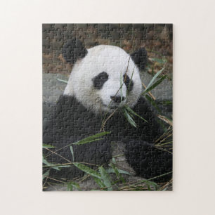 Giant panda jigsaw puzzle