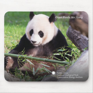 Giant Panda Mei Xiang Mouse Pad