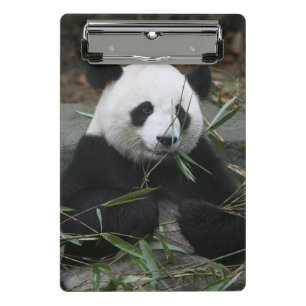 Giant panda mini clipboard