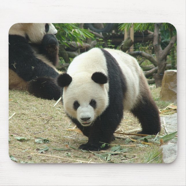 Giant panda mouse pad (Front)