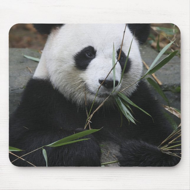 Giant panda mouse pad (Front)